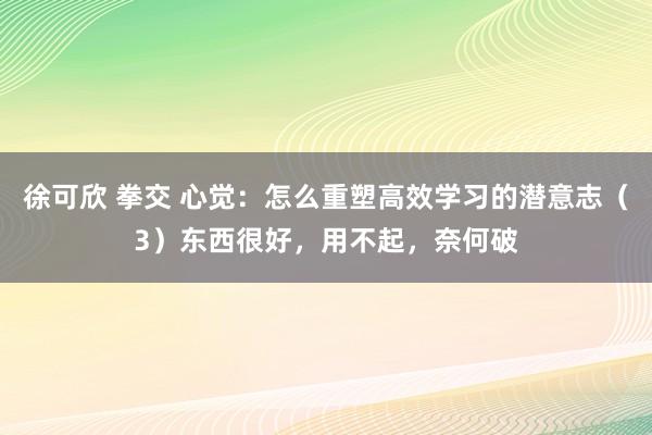 徐可欣 拳交 心觉：怎么重塑高效学习的潜意志（3）东西很好，用不起，奈何破