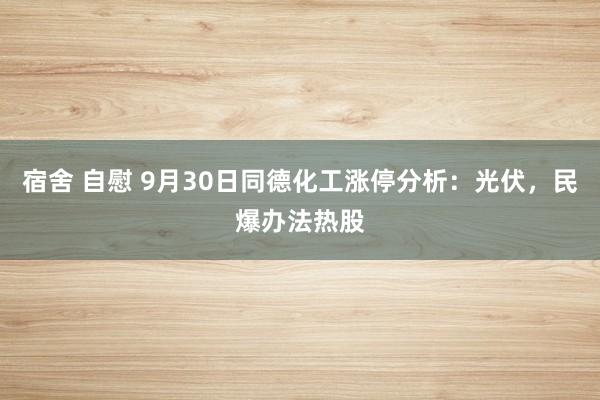 宿舍 自慰 9月30日同德化工涨停分析：光伏，民爆办法热股