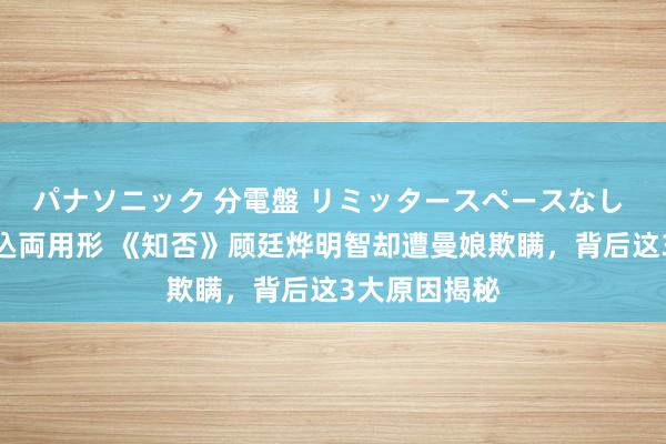 パナソニック 分電盤 リミッタースペースなし 露出・半埋込両用形 《知否》顾廷烨明智却遭曼娘欺瞒，背后这3大原因揭秘