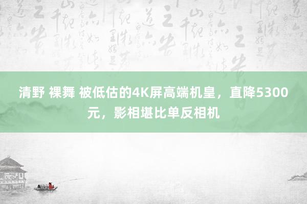 清野 裸舞 被低估的4K屏高端机皇，直降5300元，影相堪比单反相机