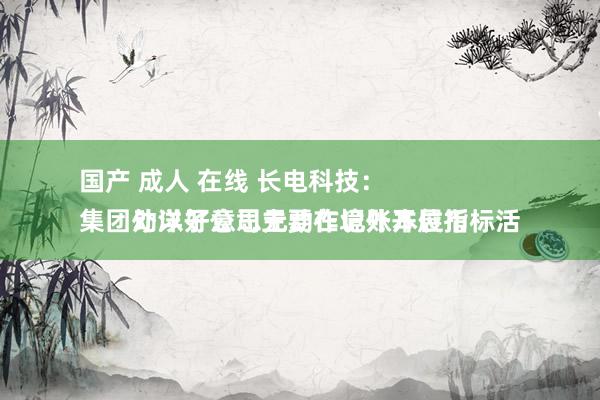 国产 成人 在线 长电科技：
集团外洋子公司主要在境外开展指标活动以好意思元动作记账本位币