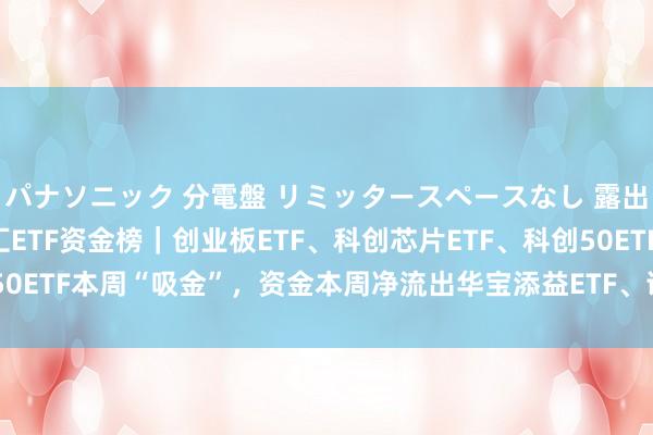 パナソニック 分電盤 リミッタースペースなし 露出・半埋込両用形 格隆汇ETF资金榜｜创业板ETF、科创芯片ETF、科创50ETF本周“吸金”，资金本周净流出华宝添益ETF、证券ETF、半导体ETF