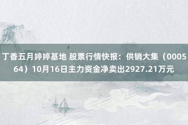 丁香五月婷婷基地 股票行情快报：供销大集（000564）10月16日主力资金净卖出2927.21万元