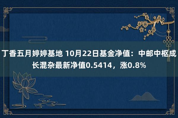 丁香五月婷婷基地 10月22日基金净值：中邮中枢成长混杂最新净值0.5414，涨0.8%