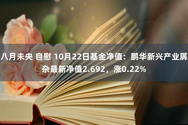 八月未央 自慰 10月22日基金净值：鹏华新兴产业羼杂最新净值2.692，涨0.22%