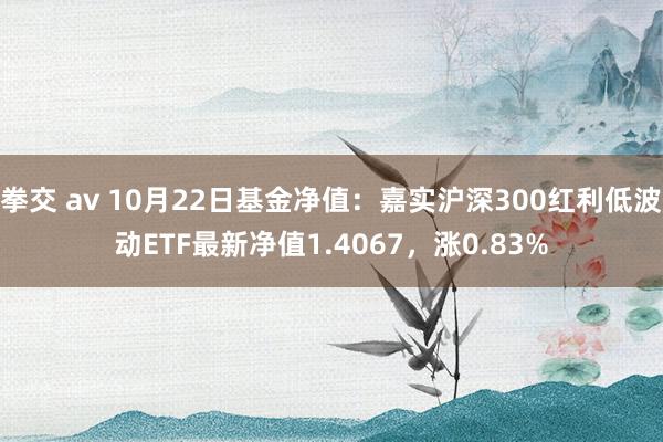 拳交 av 10月22日基金净值：嘉实沪深300红利低波动ETF最新净值1.4067，涨0.83%