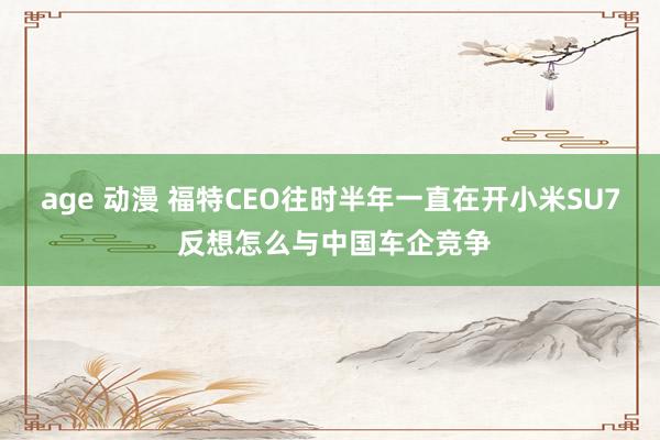 age 动漫 福特CEO往时半年一直在开小米SU7 反想怎么与中国车企竞争