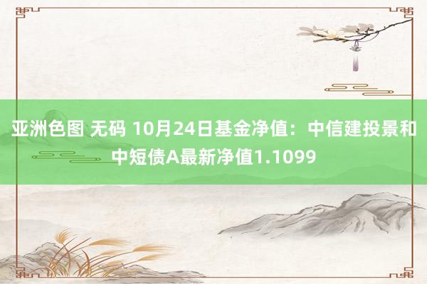 亚洲色图 无码 10月24日基金净值：中信建投景和中短债A最新净值1.1099