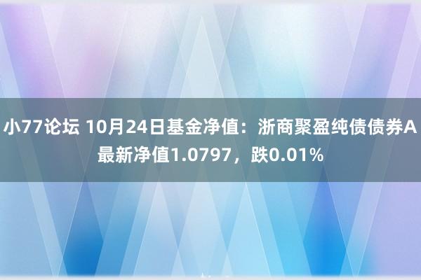 小77论坛 10月24日基金净值：浙商聚盈纯债债券A最新净值1.0797，跌0.01%