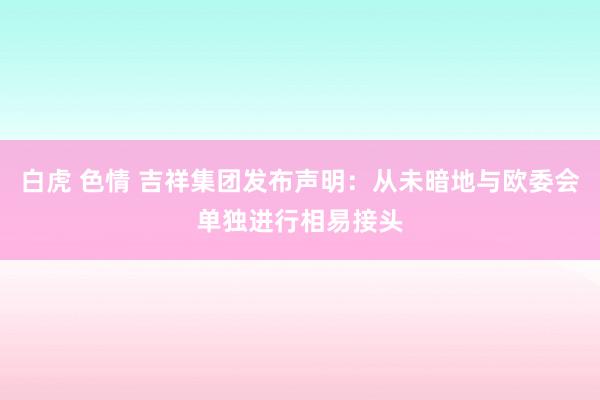 白虎 色情 吉祥集团发布声明：从未暗地与欧委会单独进行相易接头