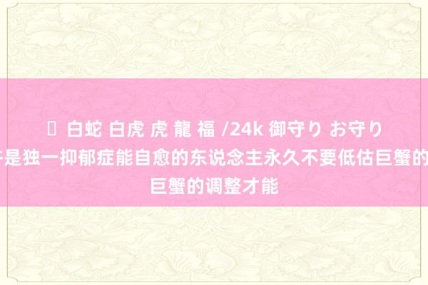 ✨白蛇 白虎 虎 龍 福 /24k 御守り お守り 巨蟹也许是独一抑郁症能自愈的东说念主永久不要低估巨蟹的调整才能