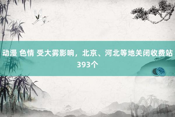 动漫 色情 受大雾影响，北京、河北等地关闭收费站393个