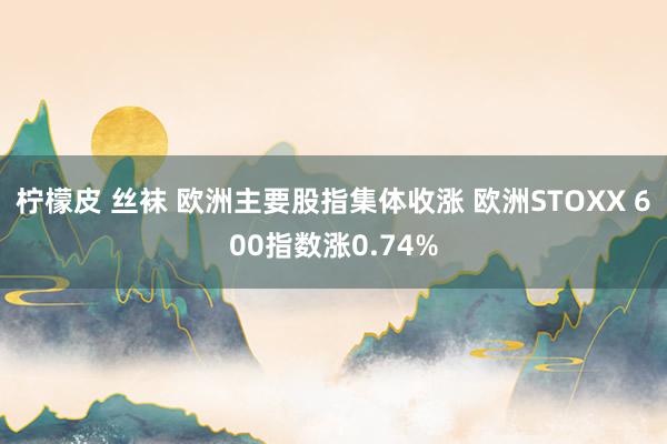 柠檬皮 丝袜 欧洲主要股指集体收涨 欧洲STOXX 600指数涨0.74%