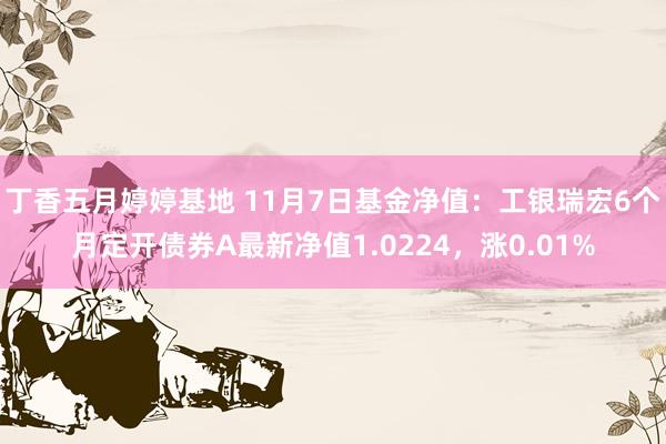 丁香五月婷婷基地 11月7日基金净值：工银瑞宏6个月定开债券A最新净值1.0224，涨0.01%