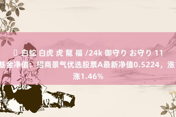 ✨白蛇 白虎 虎 龍 福 /24k 御守り お守り 11月7日基金净值：招商景气优选股票A最新净值0.5224，涨1.46%