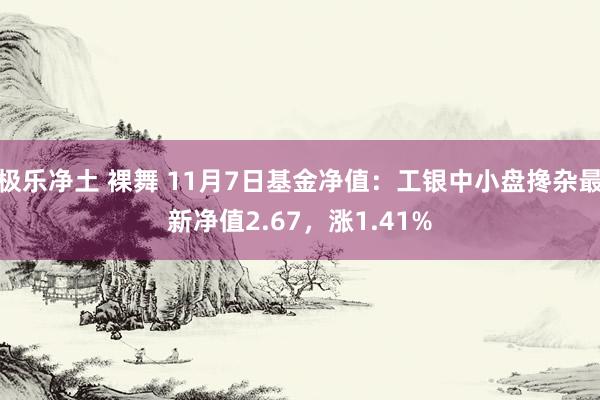 极乐净土 裸舞 11月7日基金净值：工银中小盘搀杂最新净值2.67，涨1.41%