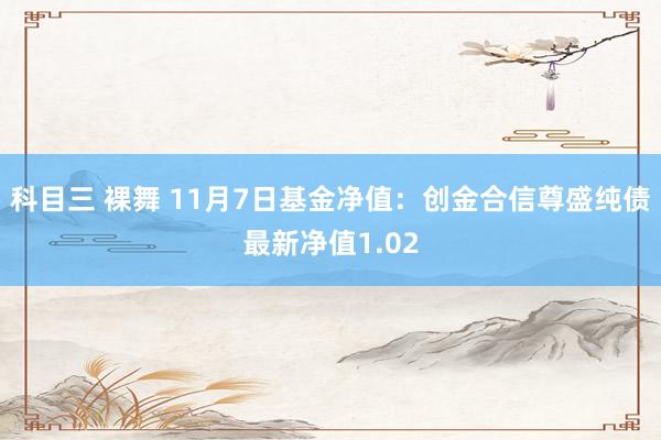 科目三 裸舞 11月7日基金净值：创金合信尊盛纯债最新净值1.02