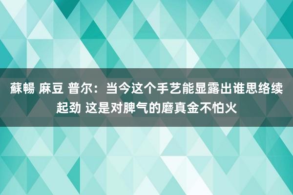 蘇暢 麻豆 普尔：当今这个手艺能显露出谁思络续起劲 这是对脾气的磨真金不怕火