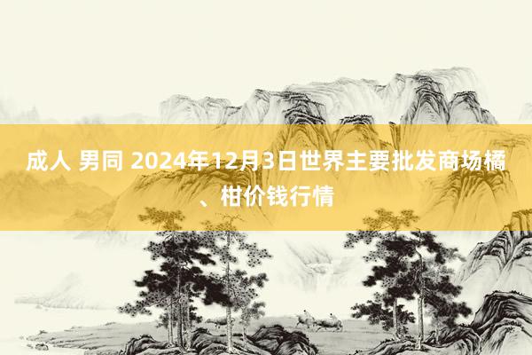 成人 男同 2024年12月3日世界主要批发商场橘、柑价钱行情