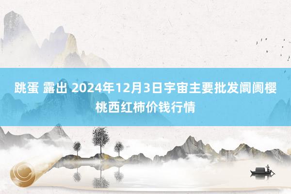 跳蛋 露出 2024年12月3日宇宙主要批发阛阓樱桃西红柿价钱行情