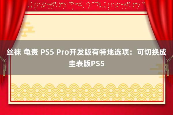 丝袜 龟责 PS5 Pro开发版有特地选项：可切换成圭表版PS5