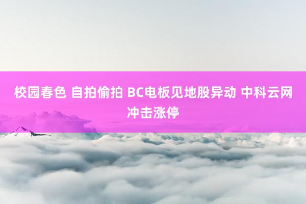 校园春色 自拍偷拍 BC电板见地股异动 中科云网冲击涨停