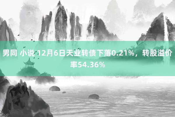 男同 小说 12月6日天业转债下落0.21%，转股溢价率54.36%