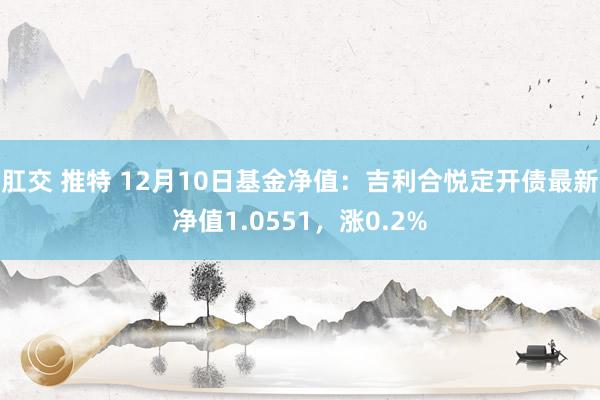 肛交 推特 12月10日基金净值：吉利合悦定开债最新净值1.0551，涨0.2%