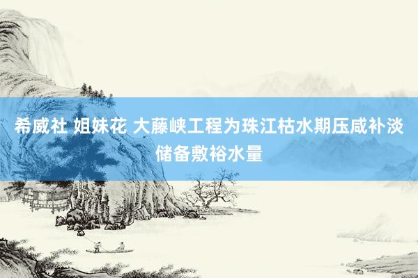 希威社 姐妹花 大藤峡工程为珠江枯水期压咸补淡储备敷裕水量