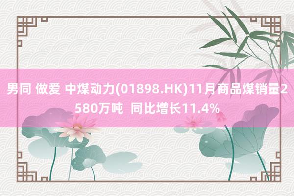 男同 做爱 中煤动力(01898.HK)11月商品煤销量2580万吨  同比增长11.4%