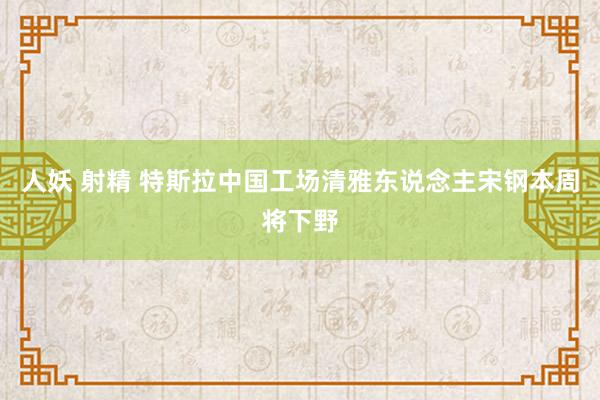 人妖 射精 特斯拉中国工场清雅东说念主宋钢本周将下野