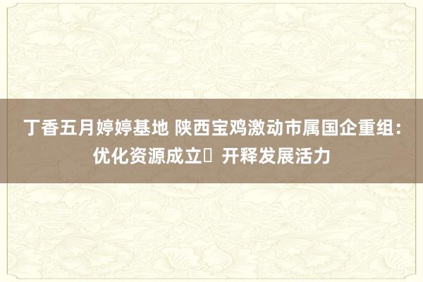 丁香五月婷婷基地 陕西宝鸡激动市属国企重组：优化资源成立 开释发展活力