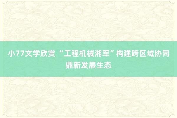 小77文学欣赏 “工程机械湘军”构建跨区域协同鼎新发展生态