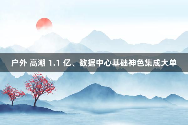 户外 高潮 1.1 亿、数据中心基础神色集成大单