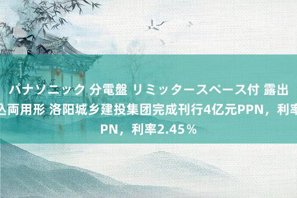 パナソニック 分電盤 リミッタースペース付 露出・半埋込両用形 洛阳城乡建投集团完成刊行4亿元PPN，利率2.45％