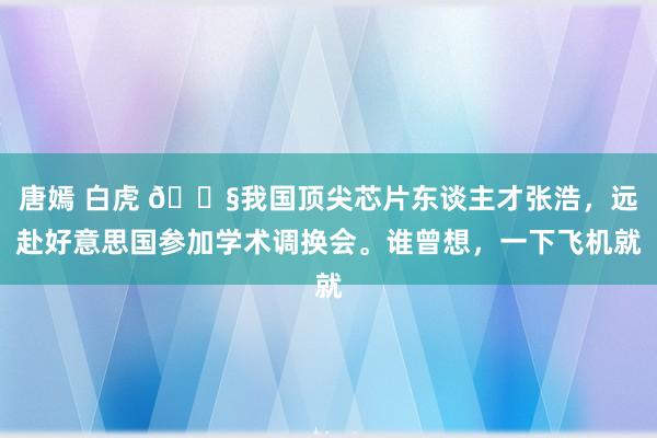 唐嫣 白虎 🌧我国顶尖芯片东谈主才张浩，远赴好意思国参加学术调换会。谁曾想，一下飞机就