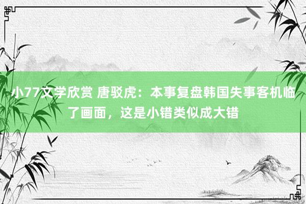 小77文学欣赏 唐驳虎：本事复盘韩国失事客机临了画面，这是小错类似成大错