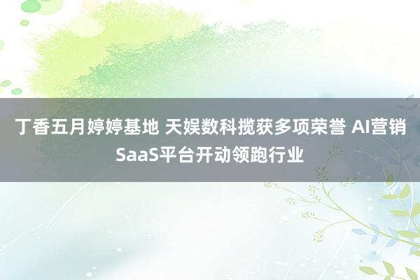 丁香五月婷婷基地 天娱数科揽获多项荣誉 AI营销SaaS平台开动领跑行业