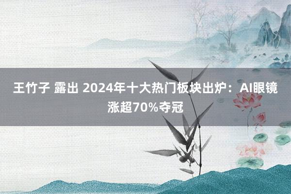 王竹子 露出 2024年十大热门板块出炉：AI眼镜涨超70%夺冠