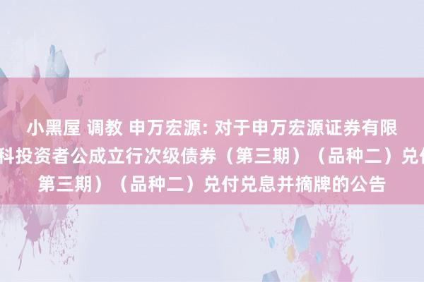 小黑屋 调教 申万宏源: 对于申万宏源证券有限公司2021年面向专科投资者公成立行次级债券（第三期）（品种二）兑付兑息并摘牌的公告