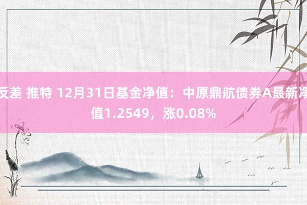 反差 推特 12月31日基金净值：中原鼎航债券A最新净值1.2549，涨0.08%