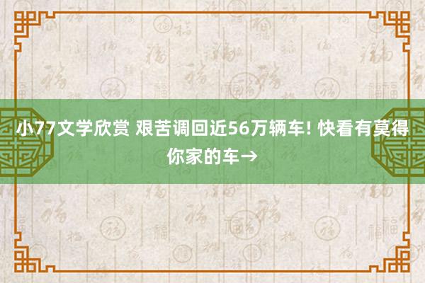 小77文学欣赏 艰苦调回近56万辆车! 快看有莫得你家的车→