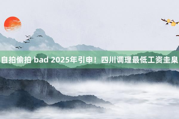 自拍偷拍 bad 2025年引申！四川调理最低工资圭臬