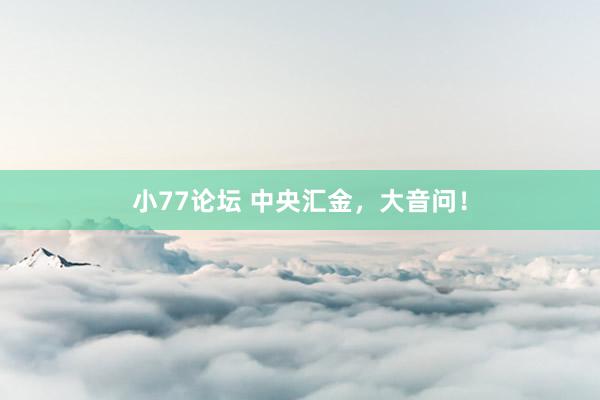 小77论坛 中央汇金，大音问！