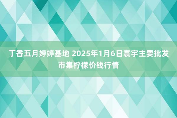 丁香五月婷婷基地 2025年1月6日寰宇主要批发市集柠檬价钱行情