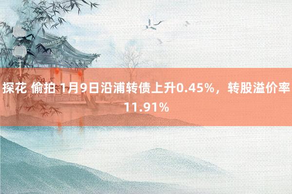 探花 偷拍 1月9日沿浦转债上升0.45%，转股溢价率11.91%