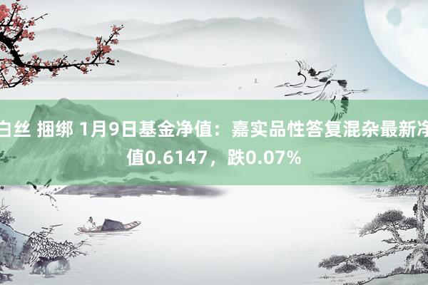 白丝 捆绑 1月9日基金净值：嘉实品性答复混杂最新净值0.6147，跌0.07%