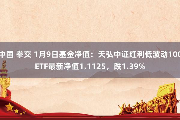 中国 拳交 1月9日基金净值：天弘中证红利低波动100ETF最新净值1.1125，跌1.39%