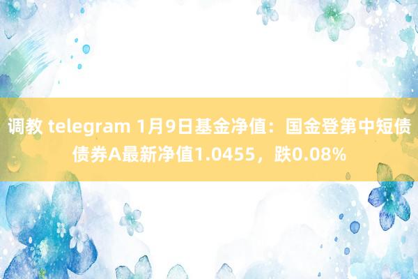 调教 telegram 1月9日基金净值：国金登第中短债债券A最新净值1.0455，跌0.08%