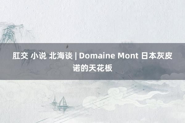 肛交 小说 北海谈 | Domaine Mont 日本灰皮诺的天花板